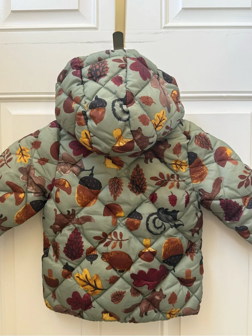 H&M Sage Green Kids Hooded Puffer Jacket with Autumn Motif